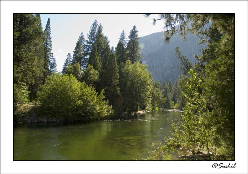 DSC_2947.jpg - Stream in Yosemite
