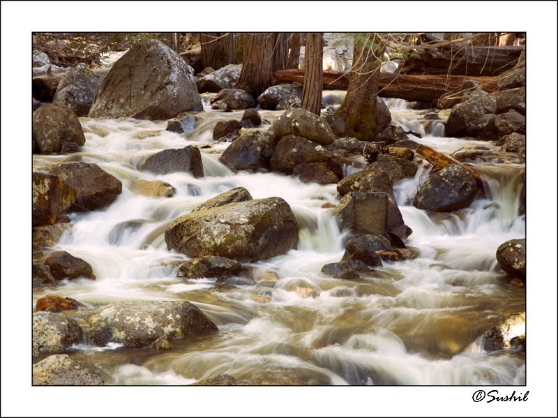 DSC_2995.jpg - Stream in Yosemite
